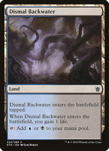 232-dismalbackwater