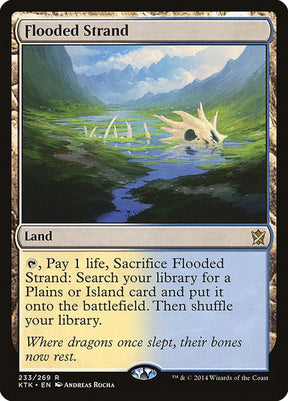 233-floodedstrand