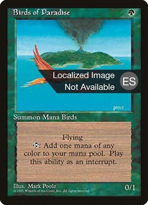 234-birdsofparadise