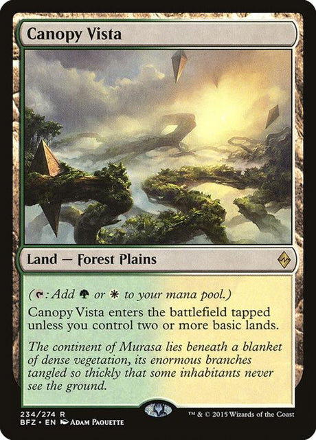 234-canopyvista