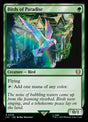 235-birdsofparadise