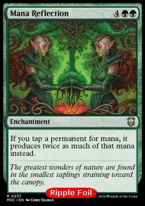 237r-manareflection