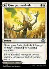 238-razorgrassambushrazorgrassfield-a
