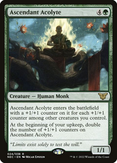 24-ascendantacolyte