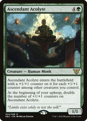 24-ascendantacolyte