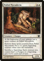 24-pallidmycoderm