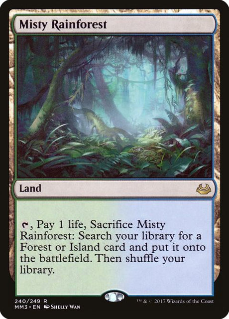 240-mistyrainforest