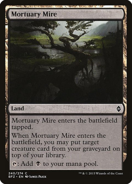 240-mortuarymire