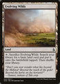 242-evolvingwilds