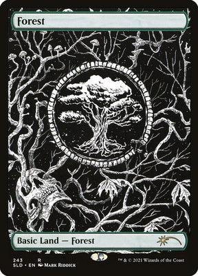 243-forest