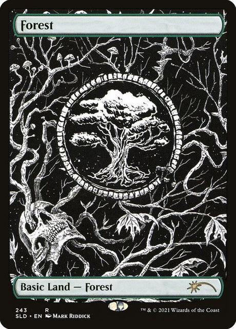 243-forest