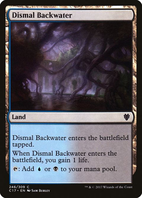 246-dismalbackwater