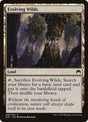 246-evolvingwilds