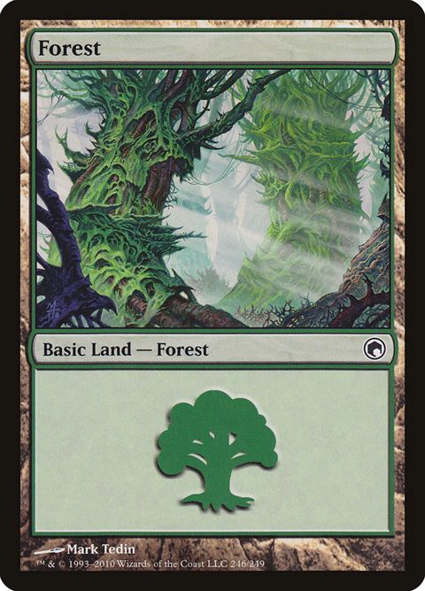 246-forest