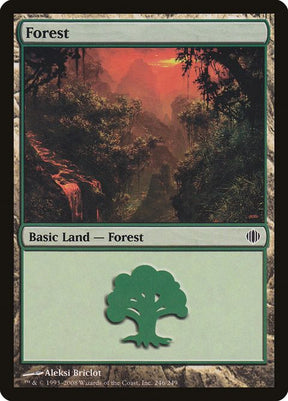 246-forest