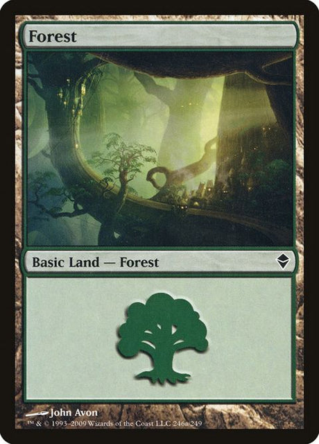 246a-forest