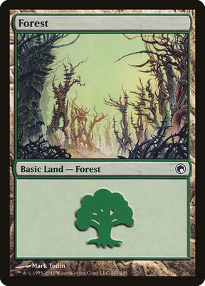 247-forest