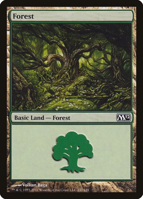 247-forest