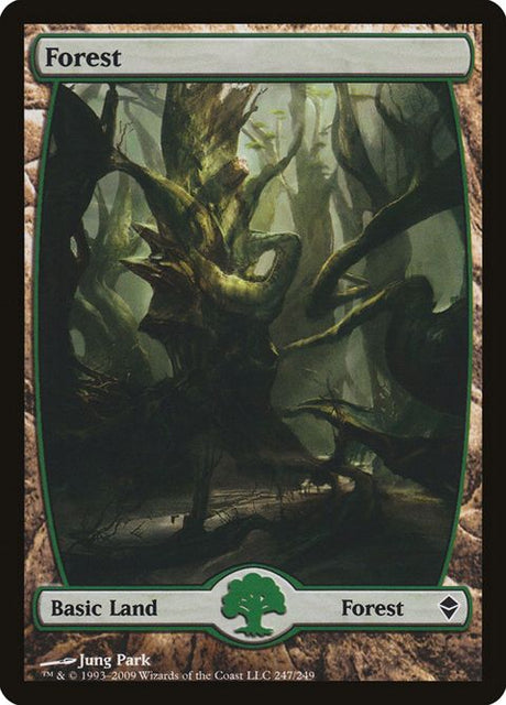 247-forest