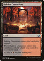 247-rakdoscarnarium