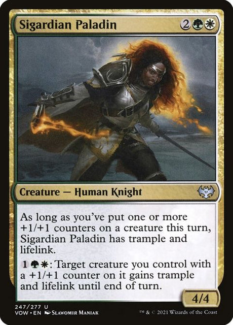 247-sigardianpaladin
