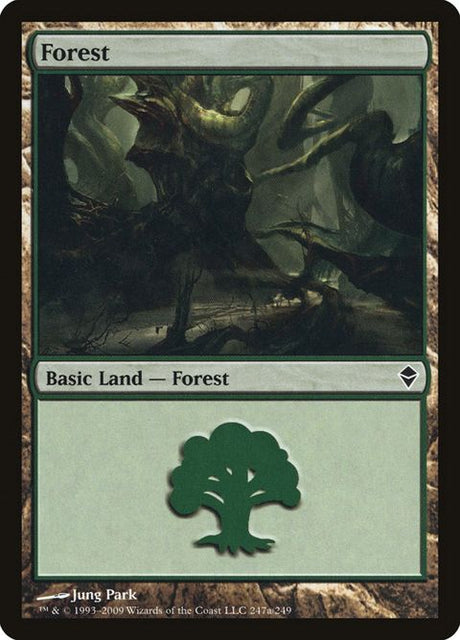 247a-forest