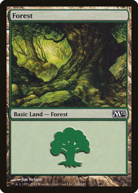 248-forest