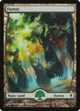 248-forest