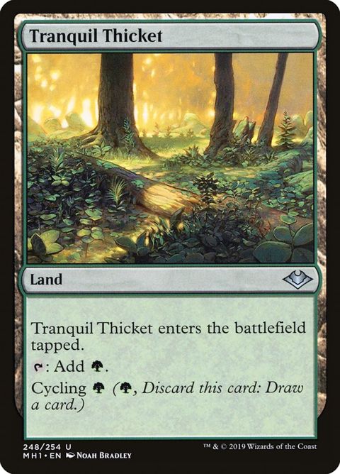248-tranquilthicket