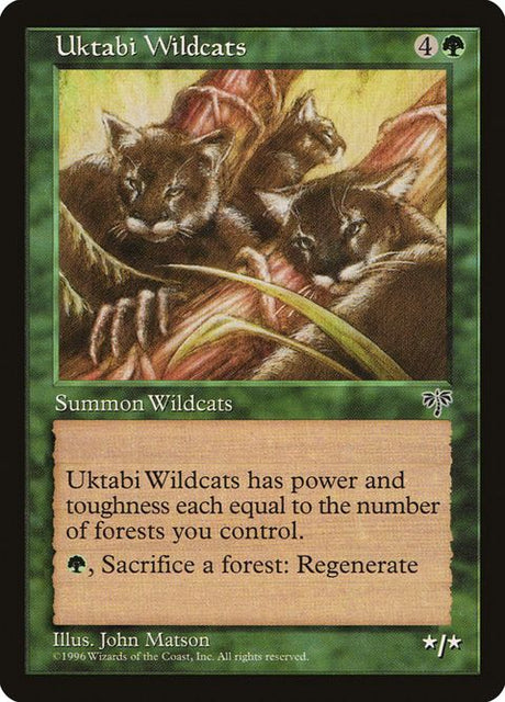 248-uktabiwildcats
