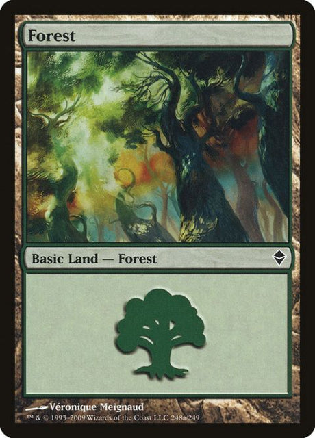 248a-forest