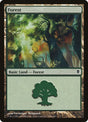 248a-forest