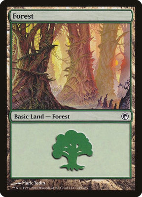 249-forest