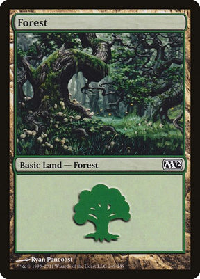 249-forest