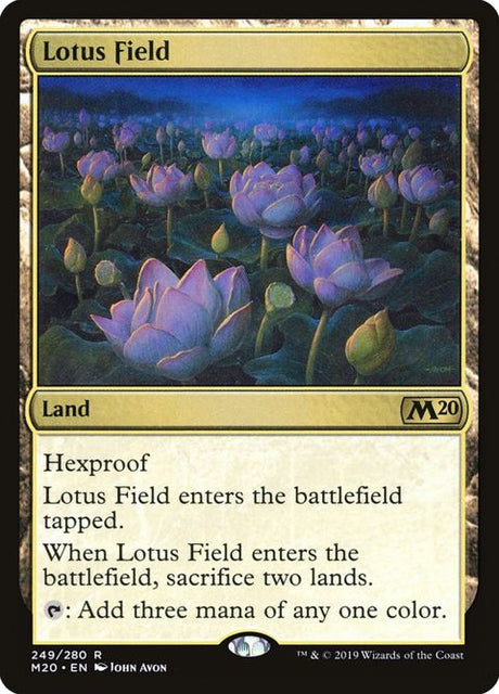 249-lotusfield