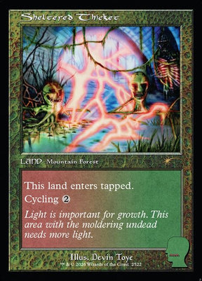 2522-shelteredthicket