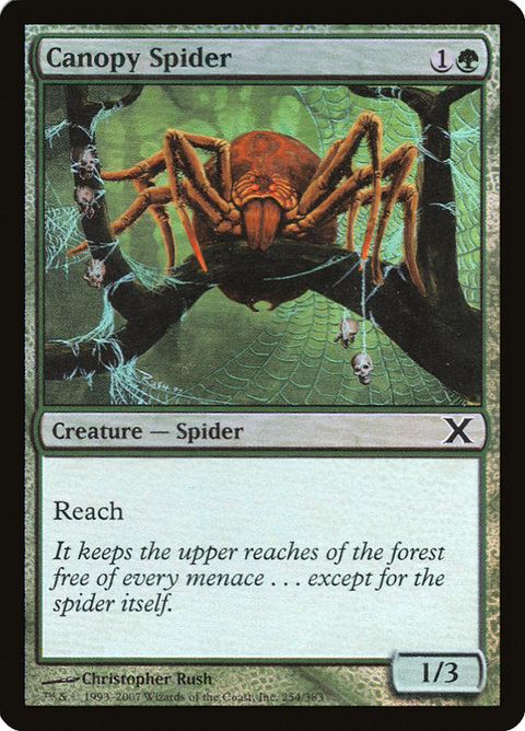 254-canopyspider