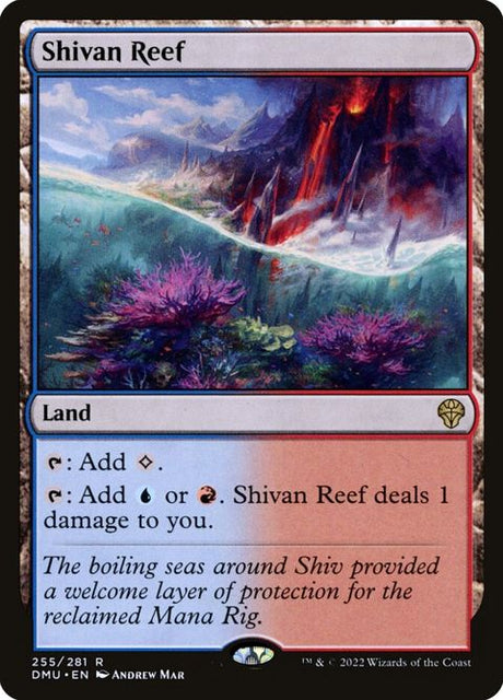 255-shivanreef