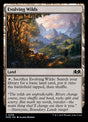 256-evolvingwilds