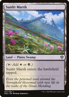 257-sunlitmarsh