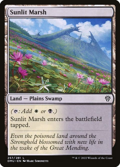 257-sunlitmarsh