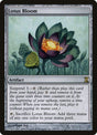 259-lotusbloom
