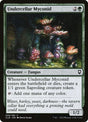 259-undercellarmyconid