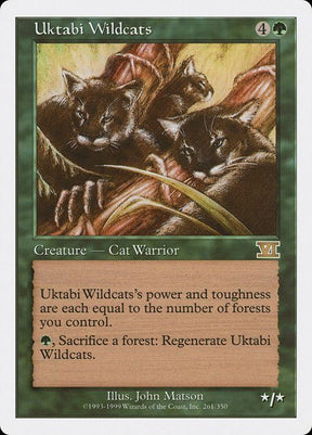 261-uktabiwildcats