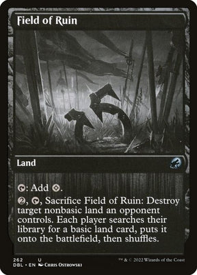 262-fieldofruin