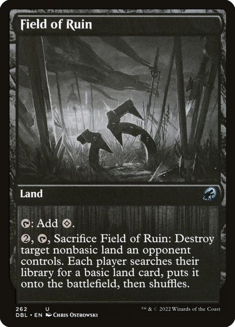 262-fieldofruin