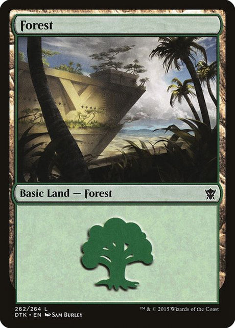 262-forest