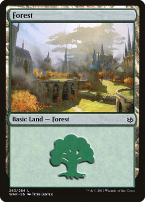 263-forest
