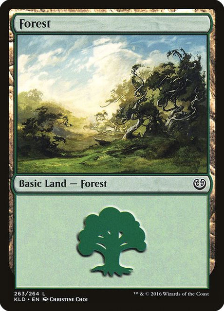 263-forest
