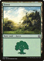 263-forest